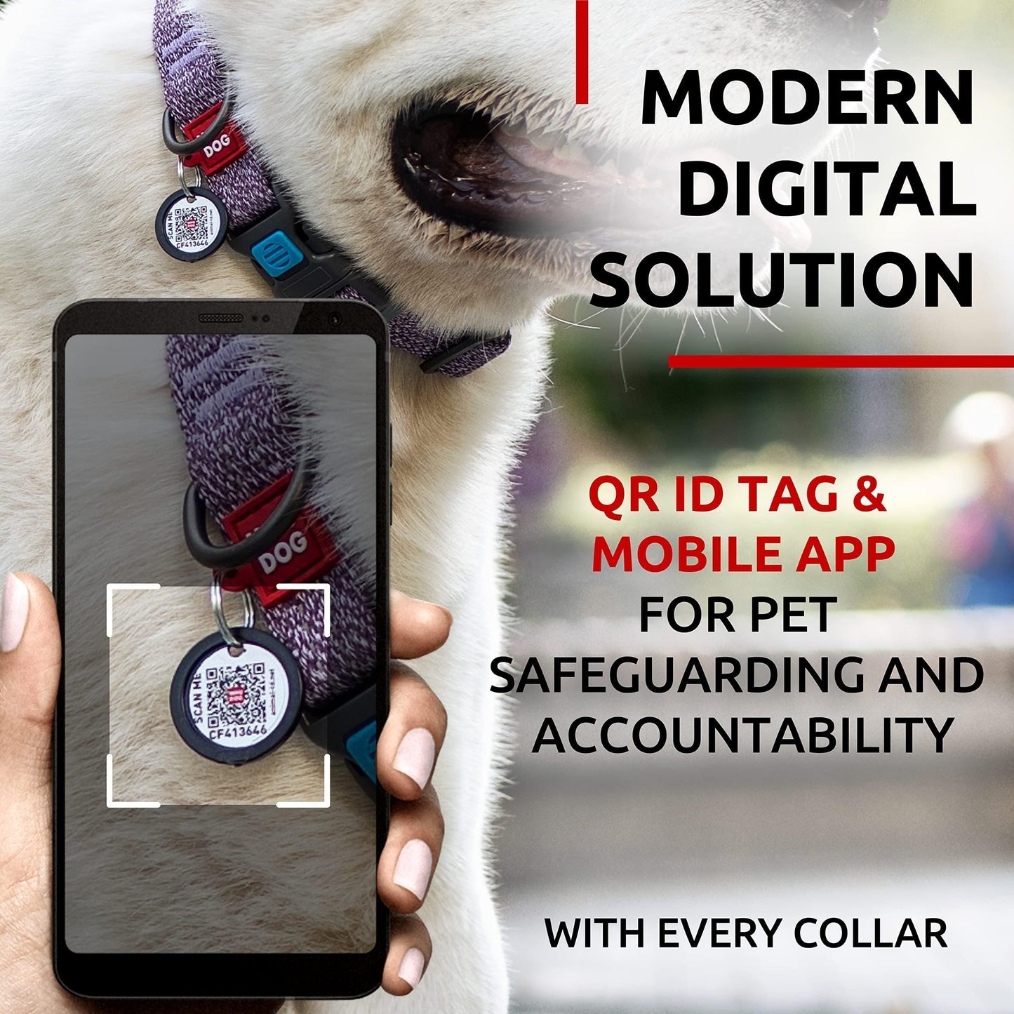 Reflective Cotton Dog Collar Eco Friendly Alt to Nylon Collar for Small Medium and Large Dogs Adjustable Male Female Dog Collar 14-23 inch Neck x 1 inch Wide Purple Color