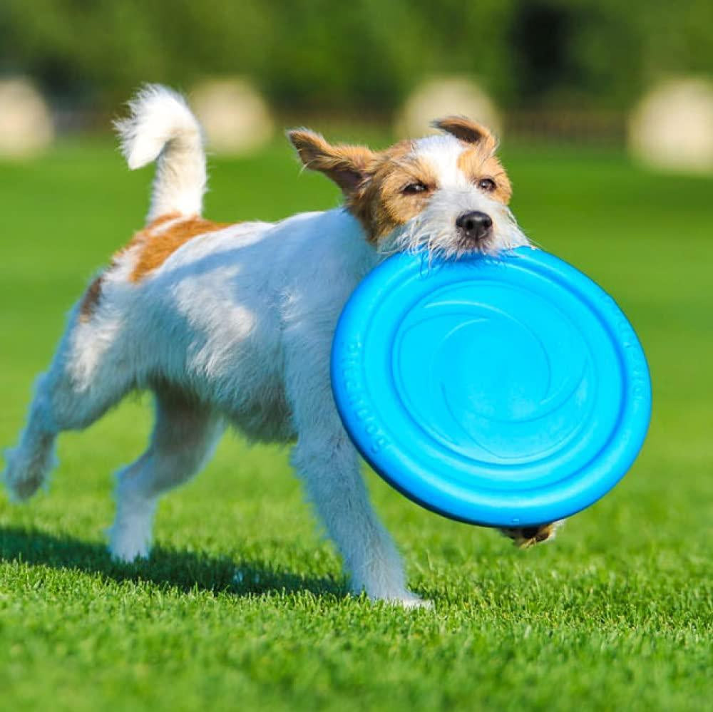 Dog Frisbee Toy Safe for Teeth Outdoor Floating Flying Disk for Small Medium and Large Breed Dogs Lightweight Dog Catch and Fetch Toy Outside Dog Yard Toys Blue