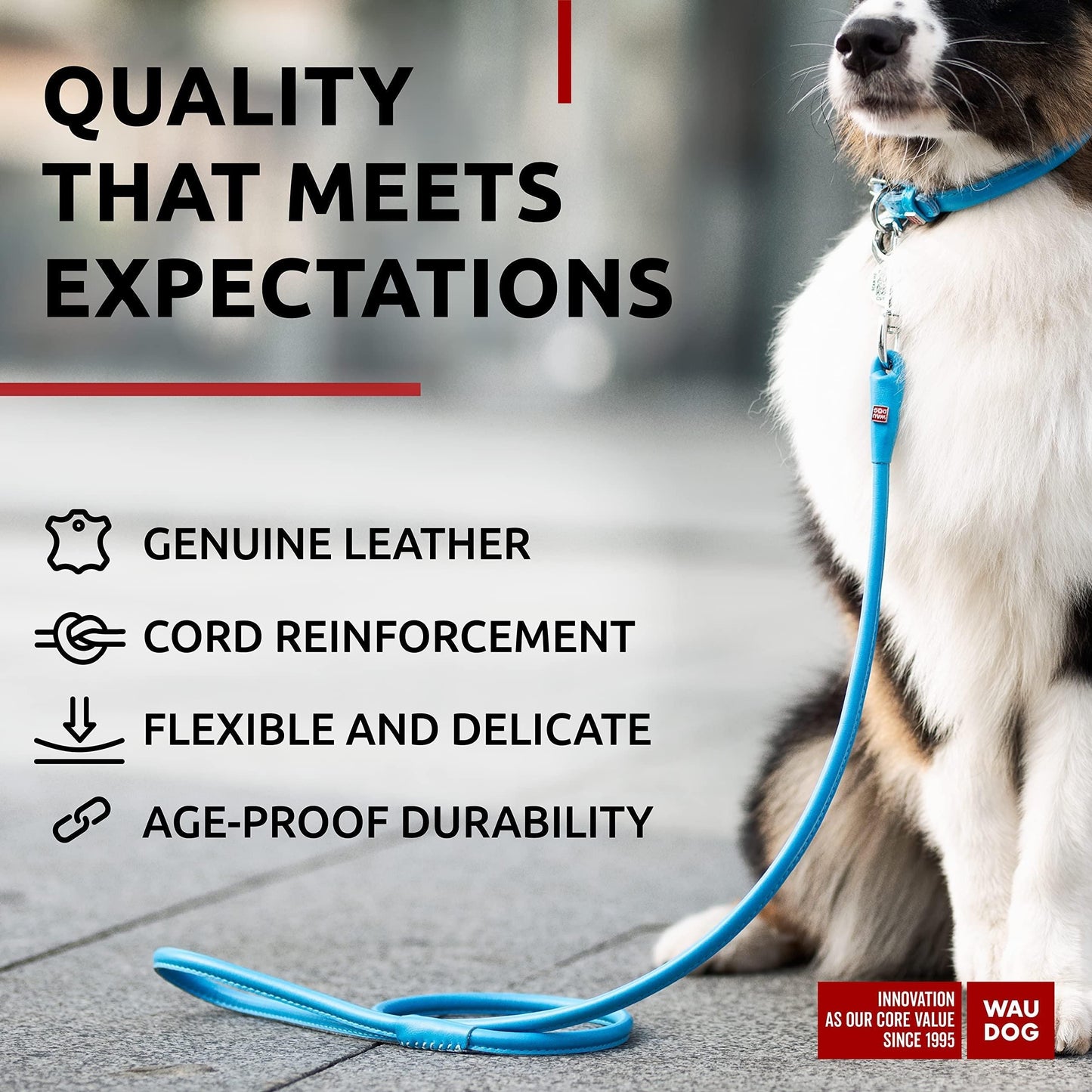 Rolled Leather Dog Leash 6Ft x 0.5 in for Small Medium and Large Dogs Heavy Duty Leash for Outdoor Walking Running Training Blue Color