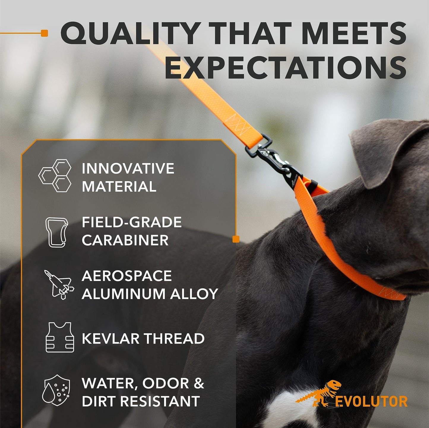 Extra Heavy Duty Dog Leash 4 Ft x 1 inch Durable Leash for Large Medium and Small Dogs Walking Dog Leash Orange Color
