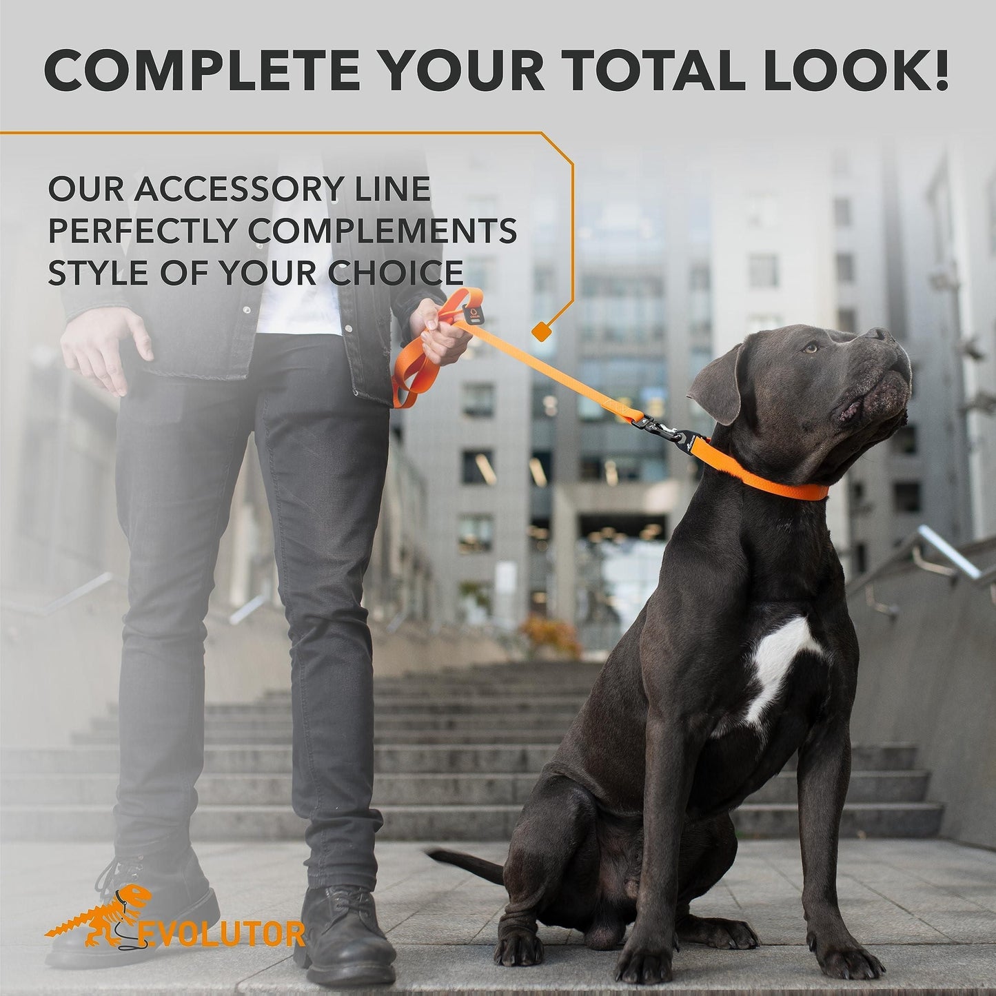 Extra Heavy Duty Dog Leash 4 Ft x 1 inch Durable Leash for Large Medium and Small Dogs Walking Dog Leash Orange Color