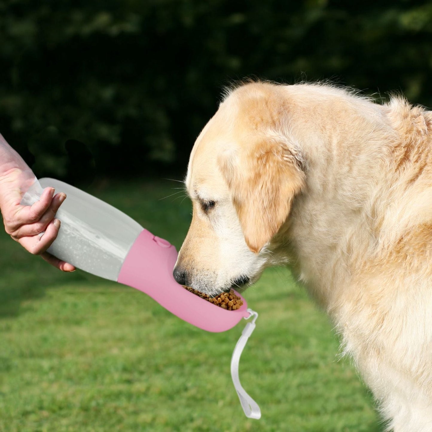 18.6OZ Portable Dog Water Bottle Pet Water Dispenser with Detachable Food Container Leak-Proof Lock Design for Dog Walking Traveling Hiking Outdoor Activities