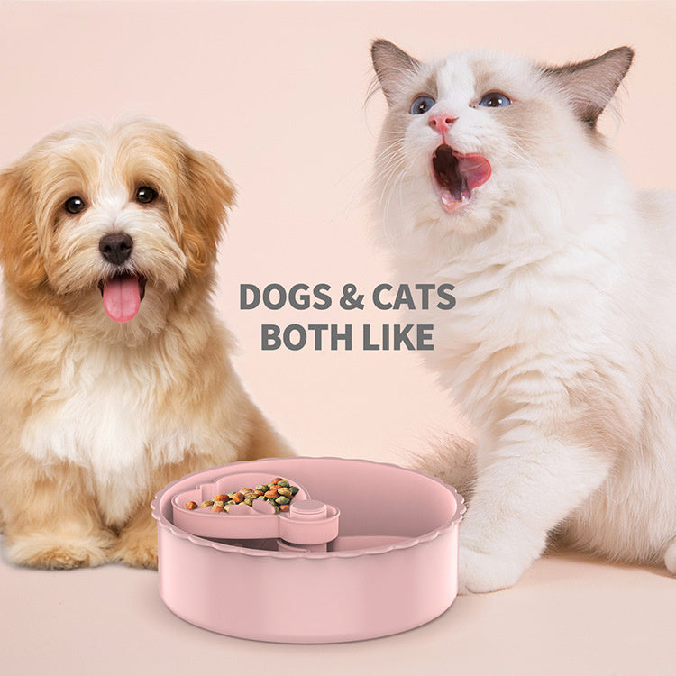🐶🐱 The Secret Language of Pets – How Toys Help You Understand Them Better