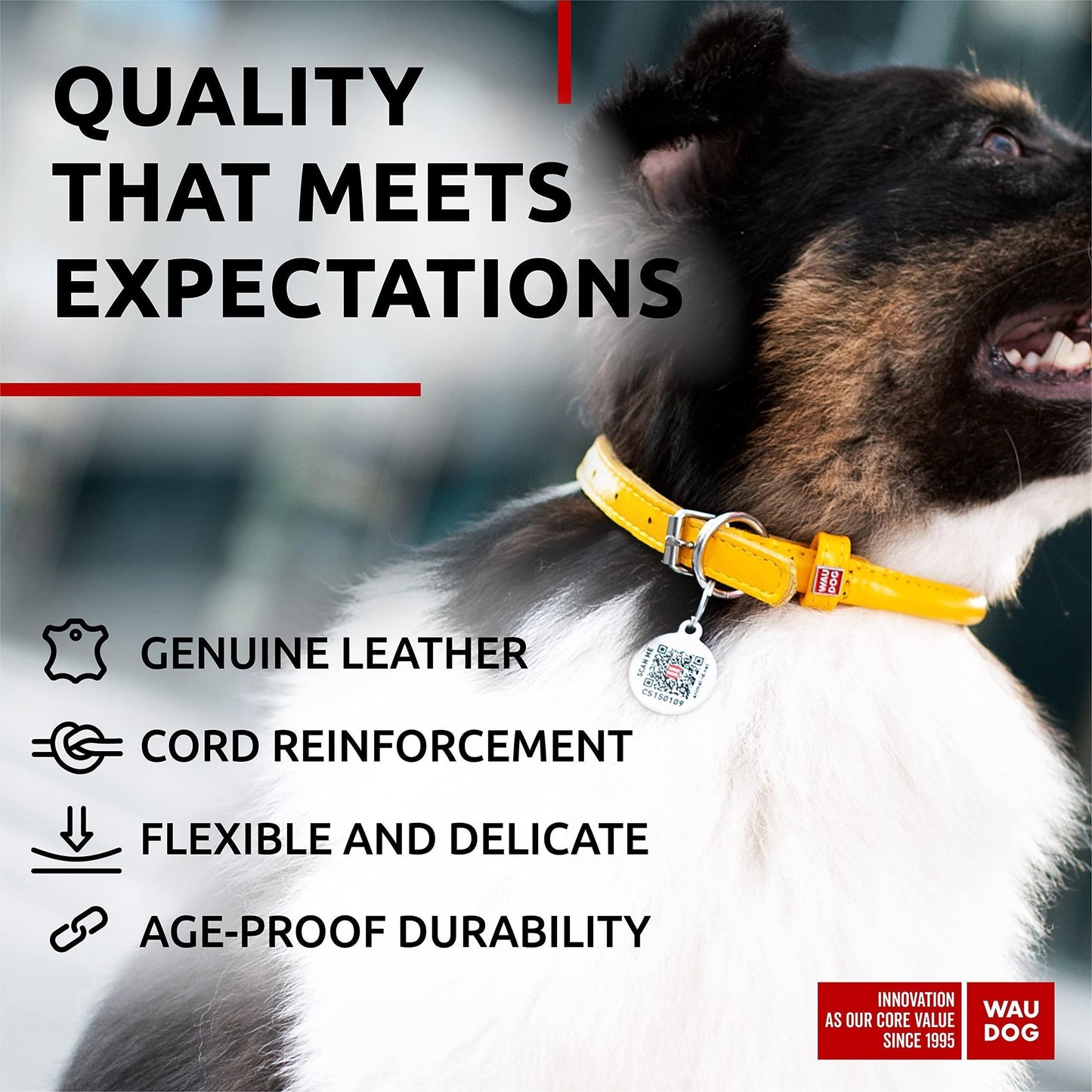Ultra Soft Rolled Leather Dog Collar Soft Padded Dog Collars for Medium Dogs Male and Female Dog Collar 18-21 inch Neck Yellow Collar