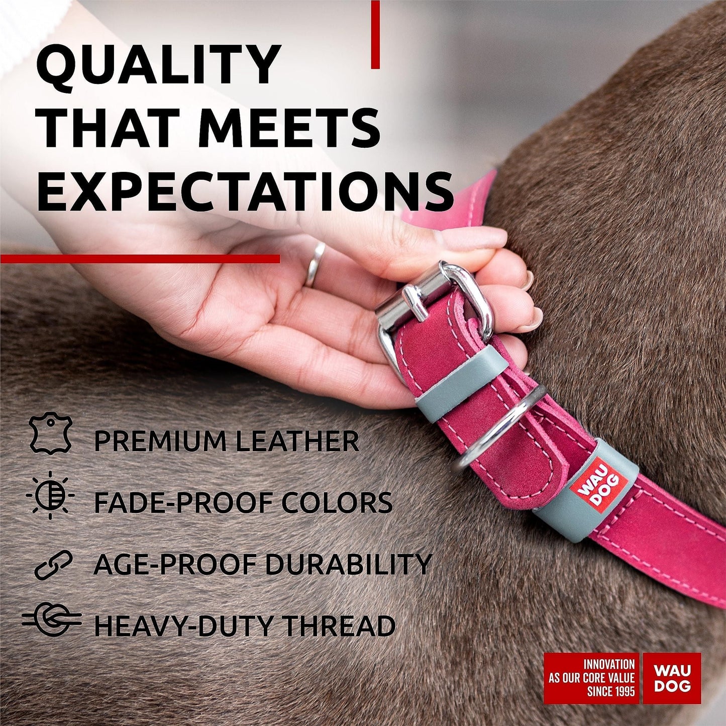 Long Lasting Leather Dog Collar for Large Dogs Medium Small Dogs Adjustable Collar with Durable Buckle D Ring 12-15 inch Neck x 4/5 inch Wide Pink Color