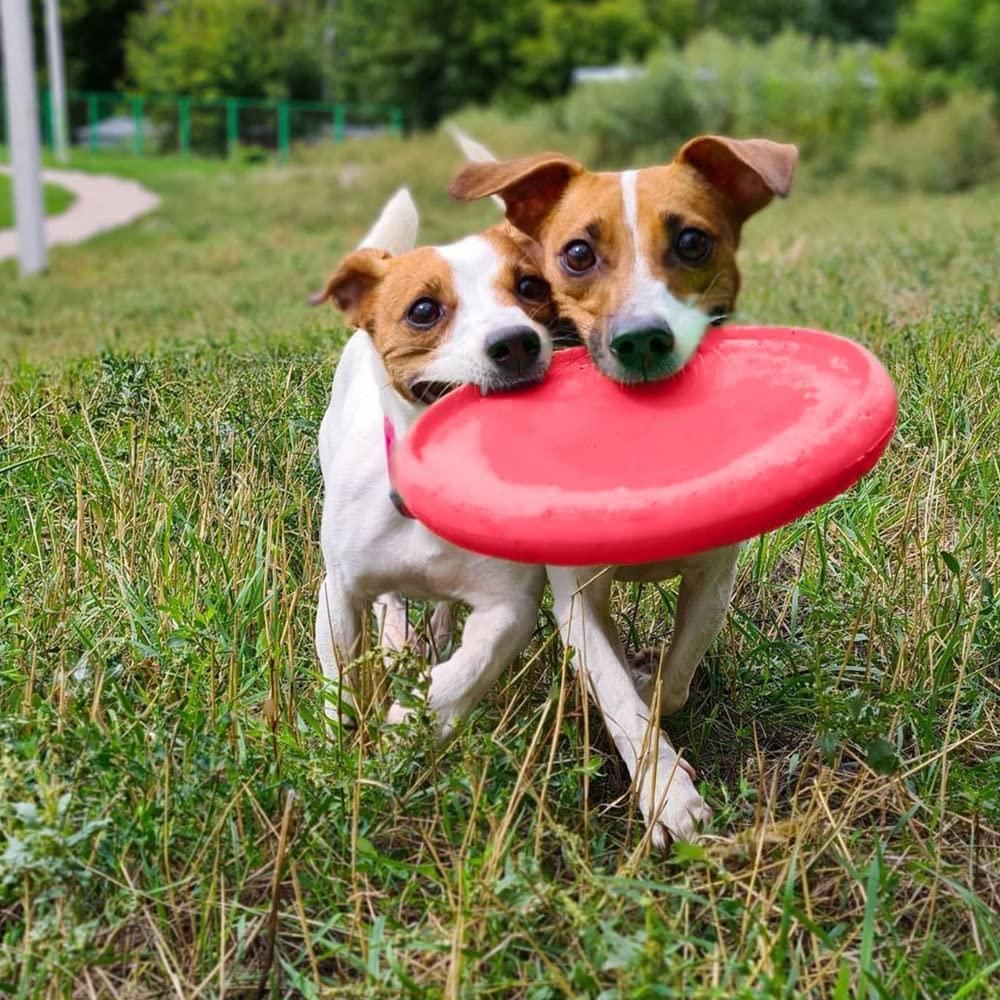 Dog Frisbee Toy Safe for Teeth Outdoor Floating Flying Disk for Small Medium and Large Breed Dogs Lightweight Dog Catch and Fetch Toy Outside Dog Yard Toys Pink Color