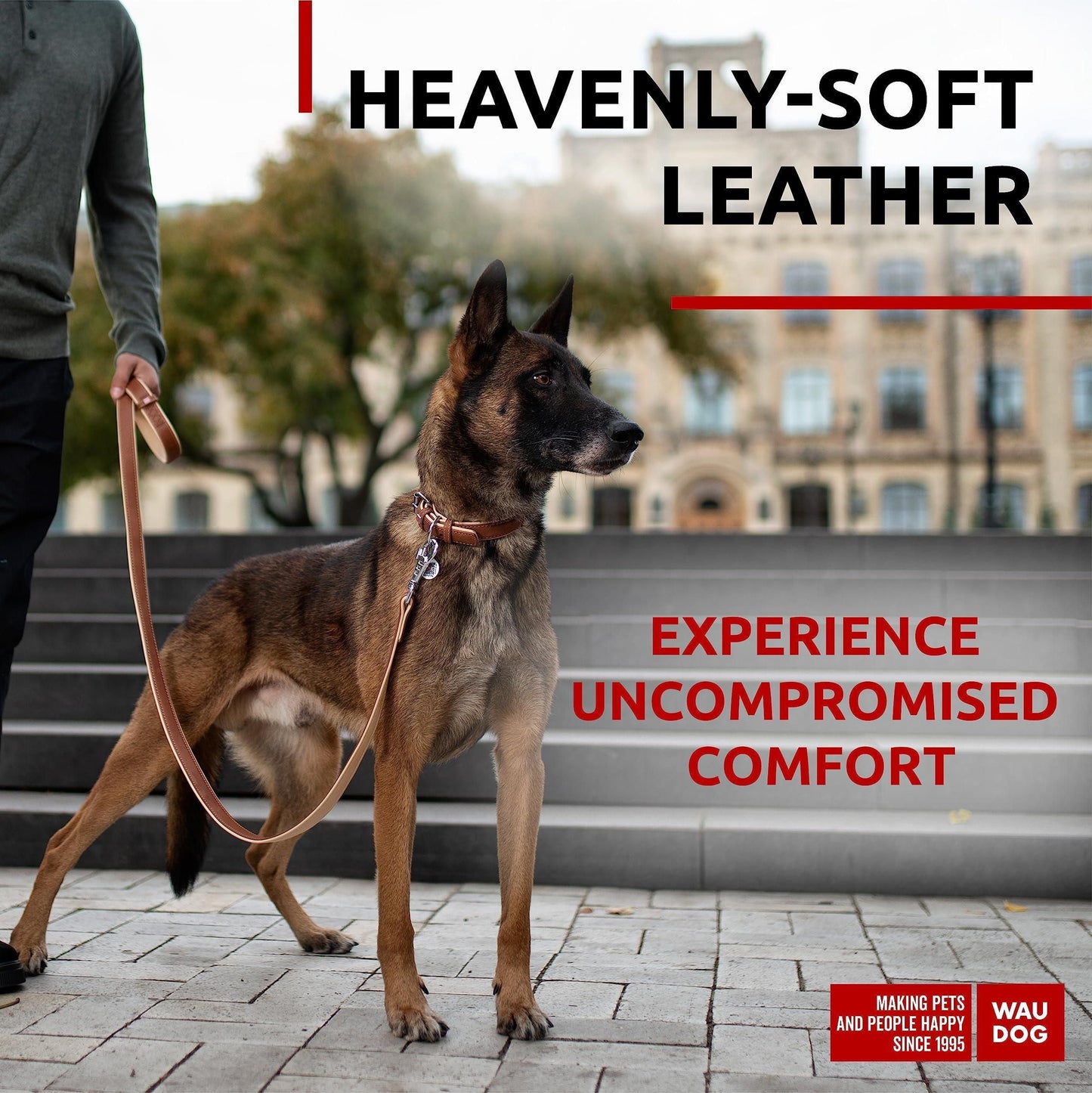 Soft Leather Dog Collar Adjustable Padded Dog Collar for Small Medium and Large Dogs with Durable Buckle and QR Dog Tag Brown Color 15-20 inch Neck x 1 inch Wide