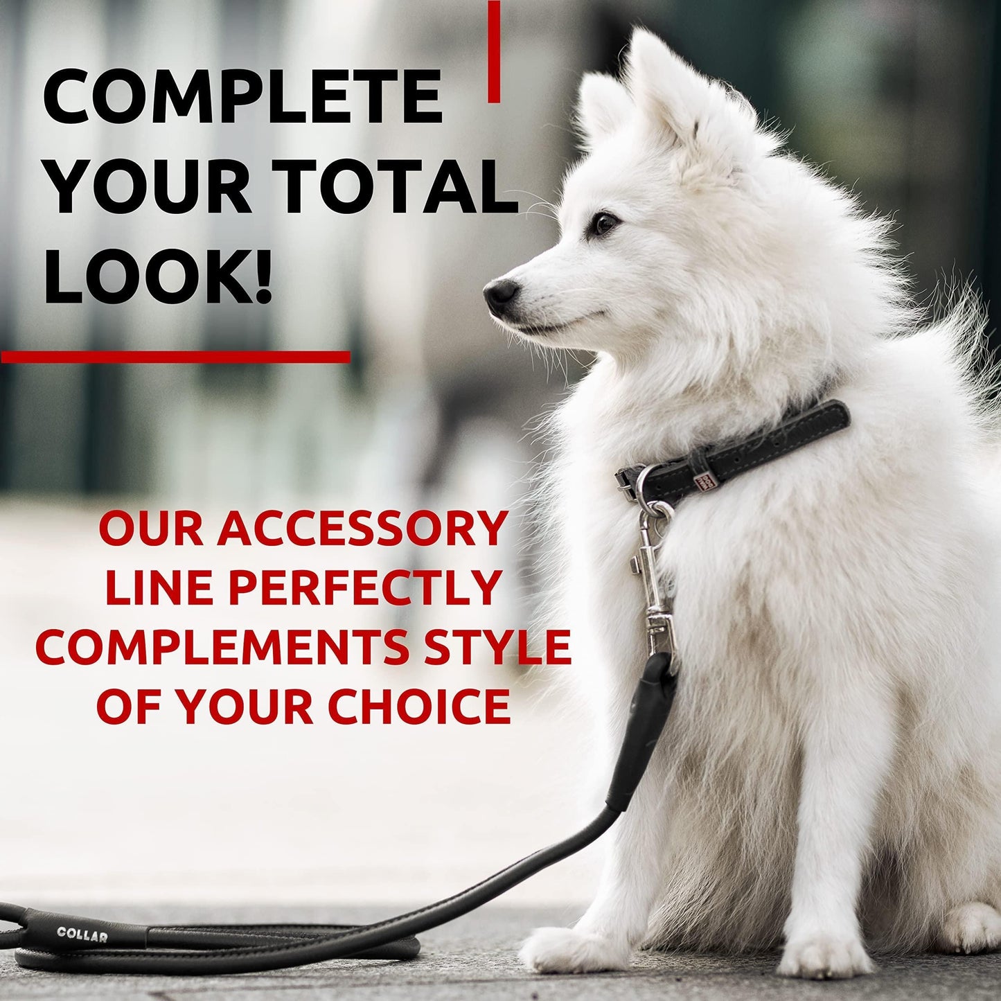 Rolled Leather Dog Leash 4Ft x 0.5 in for Small Medium and Large Dogs Heavy Duty Leather Puppy Leash for Outdoor Walking Running Training Black