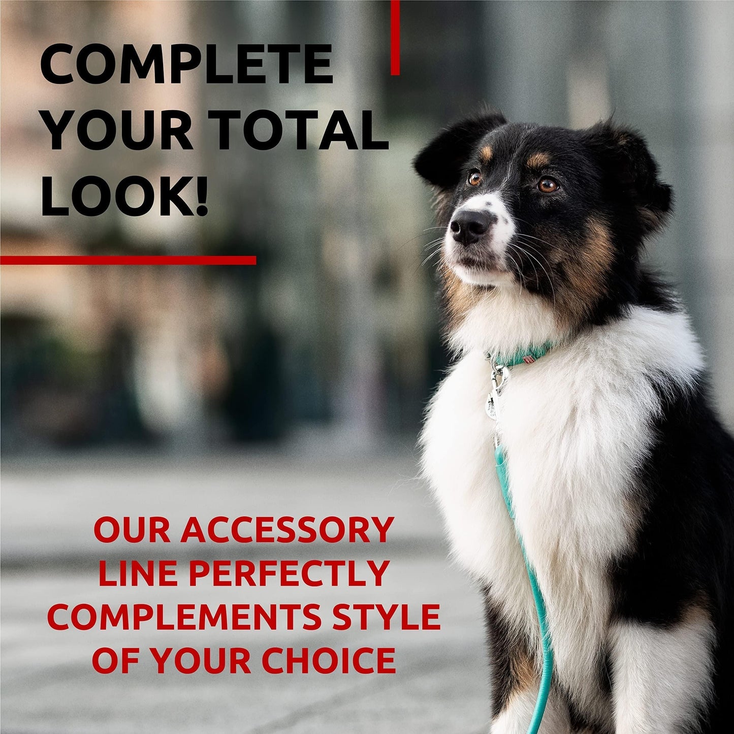 Rolled Leather Dog Leash 6Ft * 0.5 in for Small Medium and Large Dogs Heavy Duty Leather Puppy Leash for Outdoor Walking Running Training Strong Dog Leashes for Large Breed Dogs Mint Color