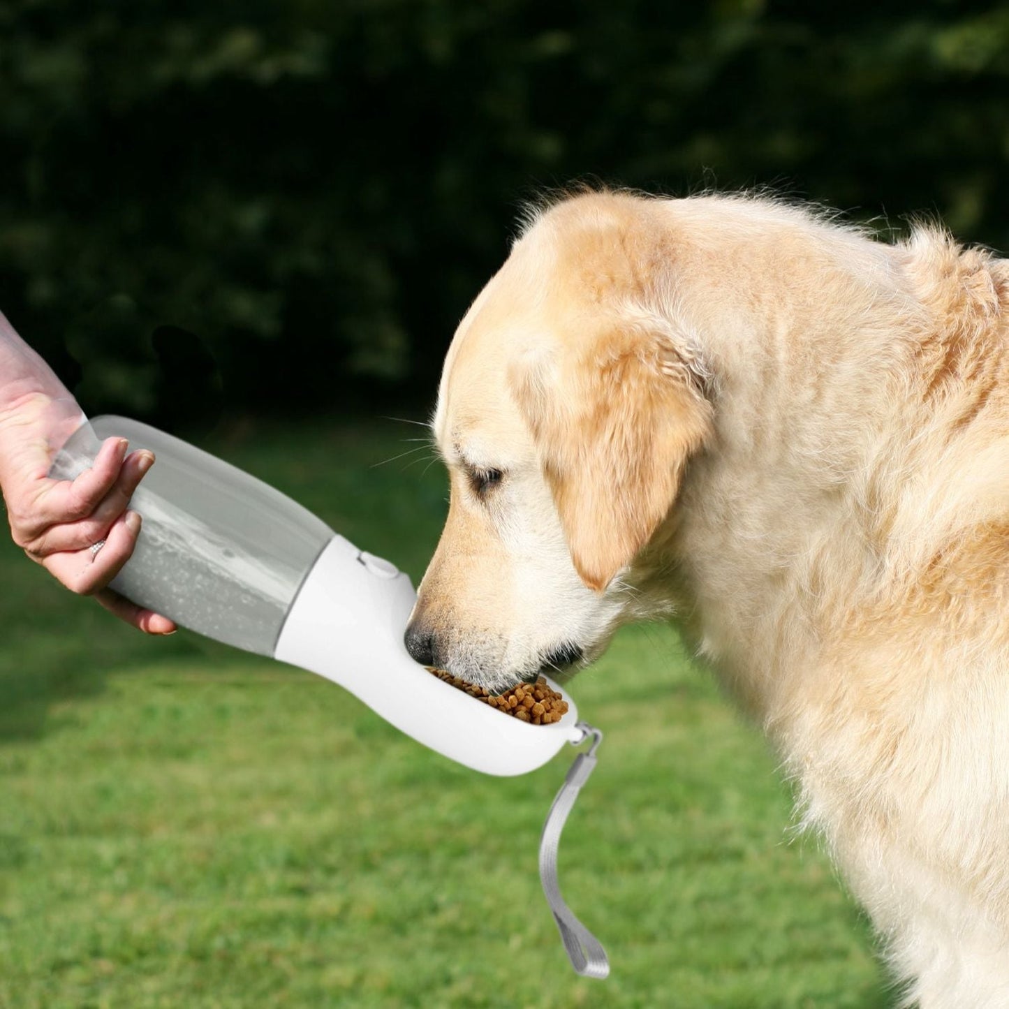 18.6OZ Portable Dog Water Bottle Pet Water Dispenser with Detachable Food Container Leak-Proof Lock Design for Dog Walking Traveling Hiking Outdoor Activities